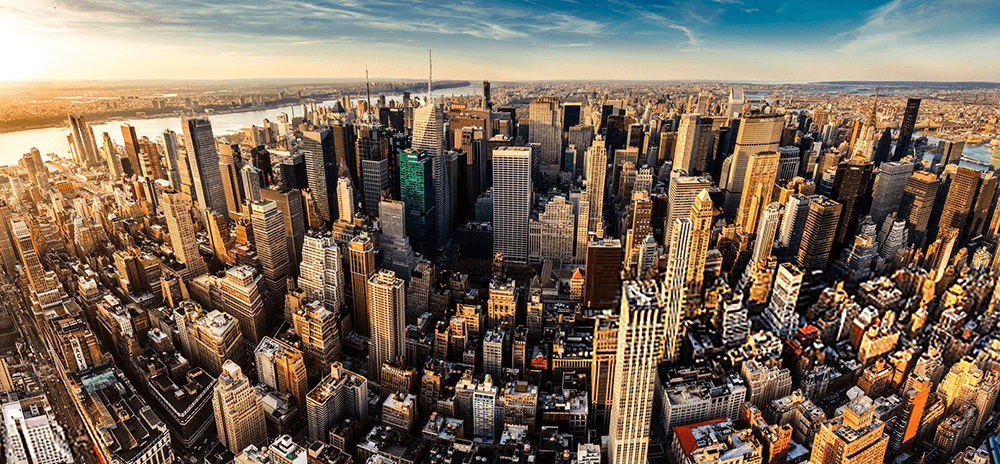 tmany-nyc